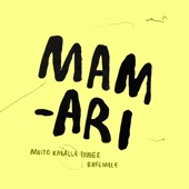 Mamari (Rafael Aragon Remix) [Remix] artwork
