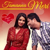 Tamanna Meri (From "Dil Vil Pyaar Vyaar") artwork