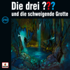 210 - und die schweigende Grotte (Inhaltsangabe) - Die drei ???