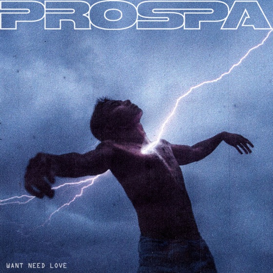 Cover artwork for WANT NEED LOVE