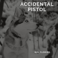 Bol Fleming - Accidental Pistol artwork