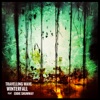 Winterfall (feat. Eddie Shumway) - Single