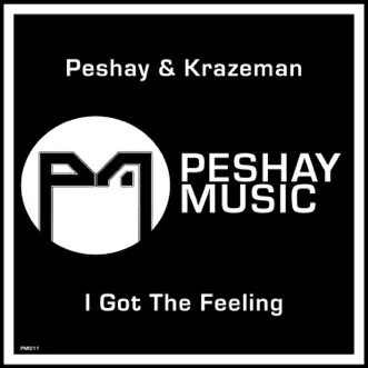 I Got the Feeling by Peshay & Krazeman song reviws