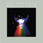 Van Morrison - cleaning windows