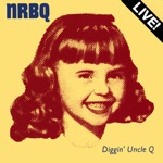 NRBQ - Scarlet Ribbons