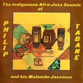 The Indigenous Afro - Jazz Sounds Of artwork