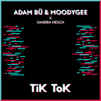 Adam Bü, Moodygee & Sandra Hesch - TiK ToK artwork