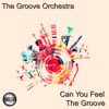 Can You Feel the Groove - Single