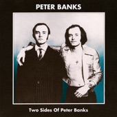 Peter Banks - Visions of the King