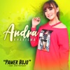 Pamer Bojo - Single