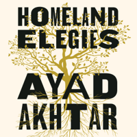 Ayad Akhtar - Homeland Elegies artwork