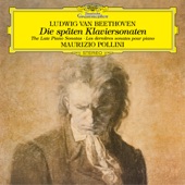Beethoven: The Late Piano Sonatas (Nos. 28-32) artwork