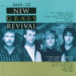 New Grass Revival - Can't Stop Now