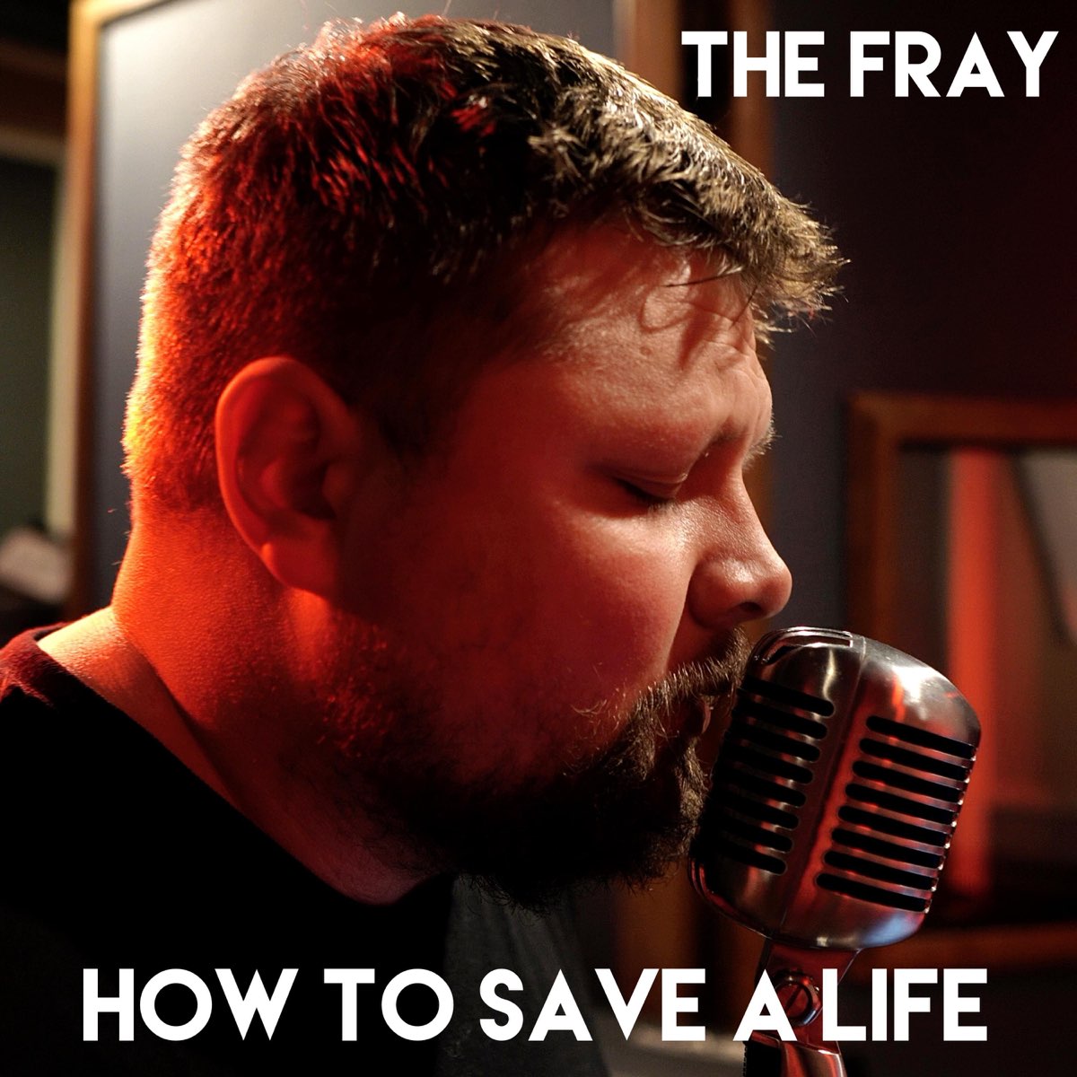 save a life song