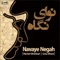 Navay-E Negah artwork
