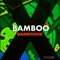 Bamboogie (Extended) artwork