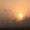 The Light of Day - Single