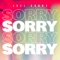 Sorry - Joel Corry lyrics