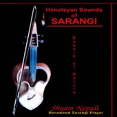 Himalayan Sounds artwork