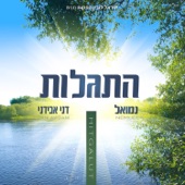 שהשלום שלו artwork