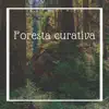 Foresta curativa - Musica strumentale celtica album lyrics, reviews, download