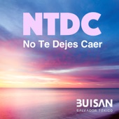 No Te Dejes Caer (with Salvador Tóxico) artwork