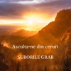 Ascultă-ne din ceruri - Single