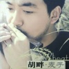 胡畔 - 无可救药