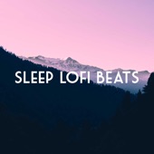 Sleep Lofi Beats artwork