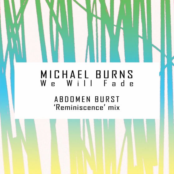 Cover artwork for We Will Fade