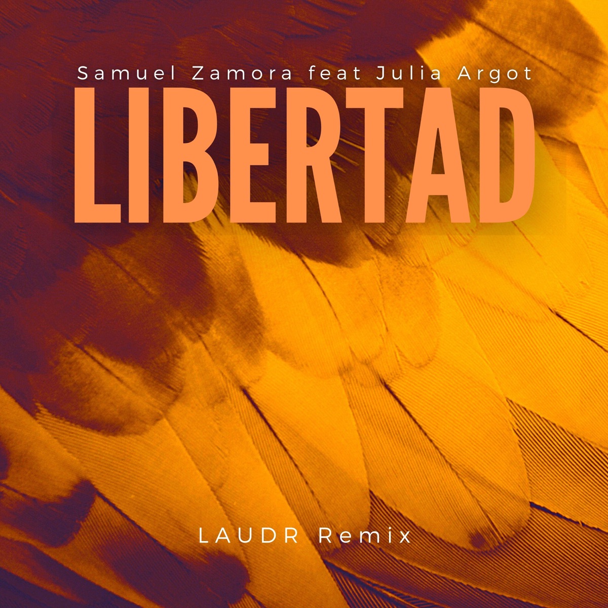 Samuel Zamora - Libertad (feat. Julia Argot) [LAUDR Remix] - Single