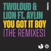 You Got It Boy (The Remixes) [feat. Aylin] - Single album lyrics, reviews, download