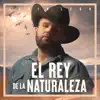 Stream & download El Rey de la Naturaleza (Live) - Single