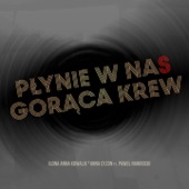 Płynie w nas gorąca krew (feat. Paweł Nawrocki) artwork