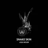 Stream & download Snake Skin - Single