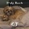 Cj - Jody Rech lyrics