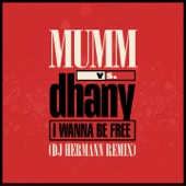 I Wanna Be Free (DJ Hermann Remix) artwork