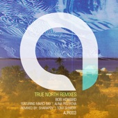 True North (Sharapov Remix) artwork