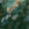 Cologne - Haux lyrics
