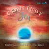 Gratitude Joy album lyrics, reviews, download