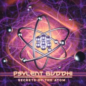 Secrets of the Atom artwork