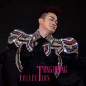 Tùng Dương - Collection 1 artwork
