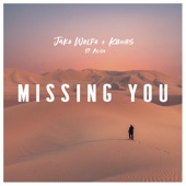 Missing You (feat. Alisa) artwork