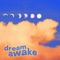 Dream Awake artwork