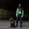 Alley Cats - HBK Ray lyrics