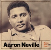 Aaron Neville - La Vie Dansante