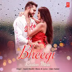 Bheegi Raaton Mein - Single by Aamir Shaikh album reviews, ratings, credits