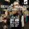 Sexual Healing (Werkha Remix) - Hot 8 Brass Band lyrics