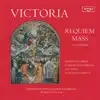 Stream & download Victoria: Requiem Mass - O Magnum Mysterium - Ave Maria