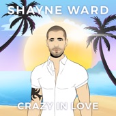 Crazy in Love artwork